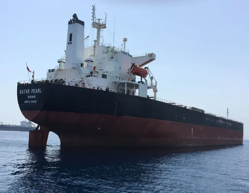 PERLITA Bulk Carrier IMO 9189861