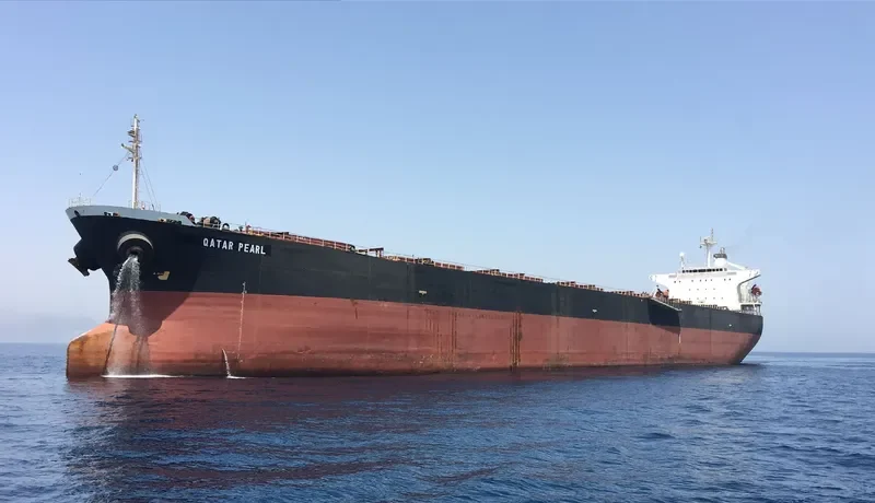 PERLITA Bulk Carrier IMO 9189861 photo 2
