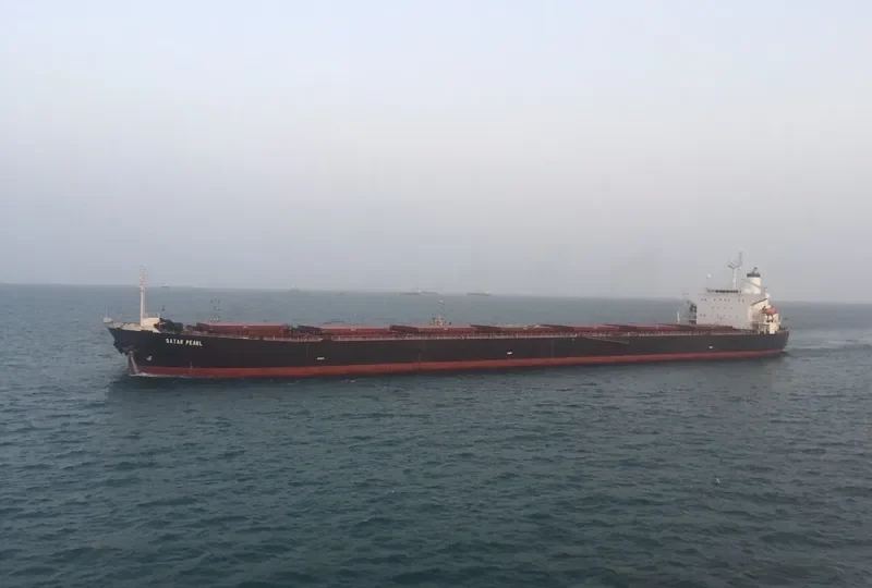 PERLITA Bulk Carrier IMO 9189861 photo 3