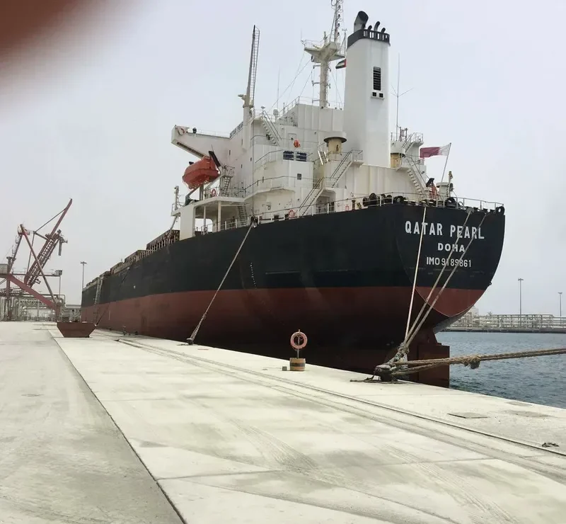 PERLITA Bulk Carrier IMO 9189861 photo 4