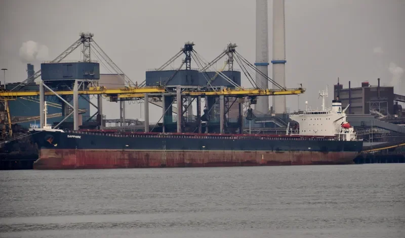 PERLITA Bulk Carrier IMO 9189861 photo 8