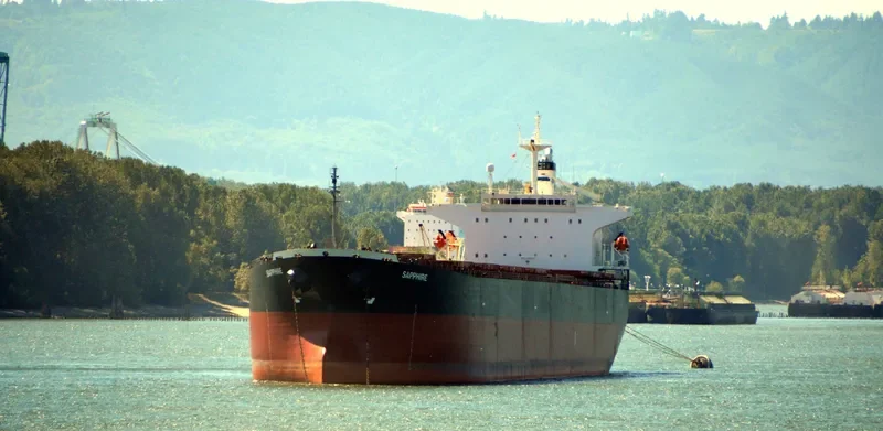 PERLITA Bulk Carrier IMO 9189861 photo 10