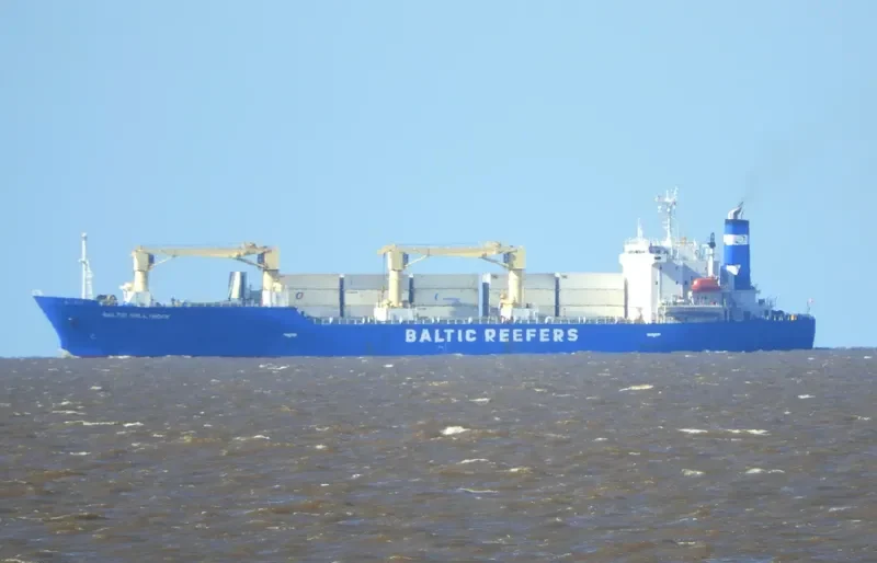 BALTIC HOLLYHOCK General Cargo IMO 9189902
