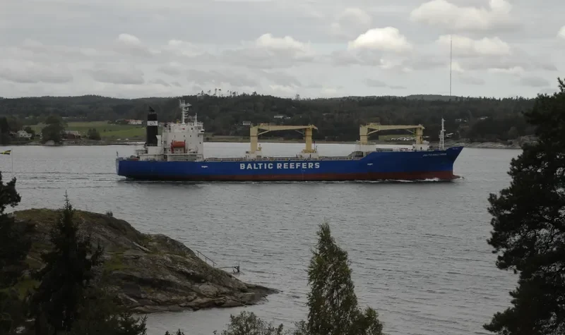 BALTIC HOLLYHOCK General Cargo IMO 9189902 photo 2
