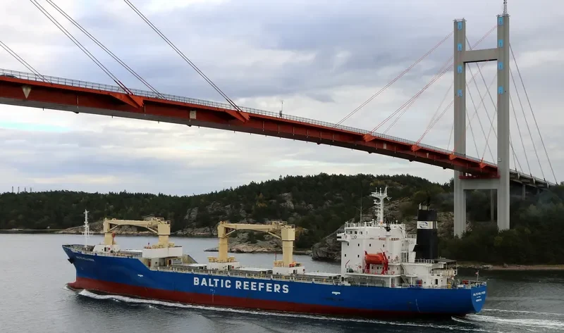 BALTIC HOLLYHOCK General Cargo IMO 9189902 photo 3