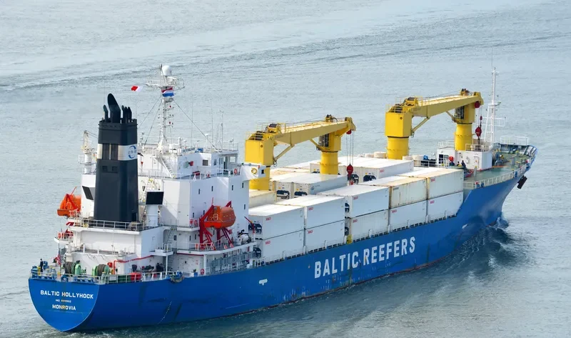 BALTIC HOLLYHOCK General Cargo IMO 9189902 photo 4