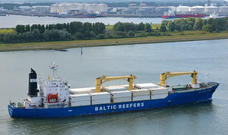 BALTIC HOLLYHOCK General Cargo IMO 9189902 photo 6