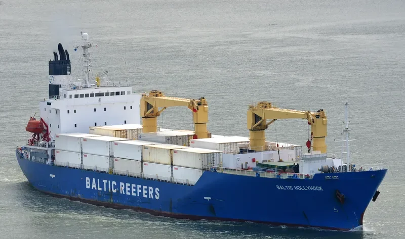 BALTIC HOLLYHOCK General Cargo IMO 9189902 photo 7