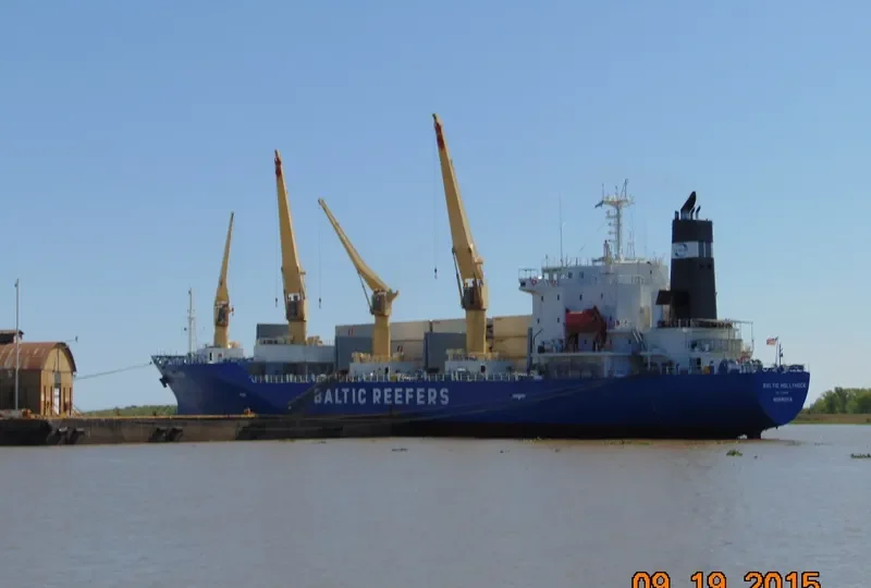 BALTIC HOLLYHOCK General Cargo IMO 9189902 photo 8