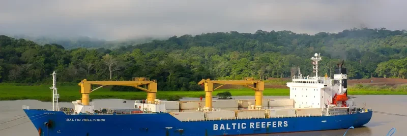 BALTIC HOLLYHOCK General Cargo IMO 9189902 photo 10