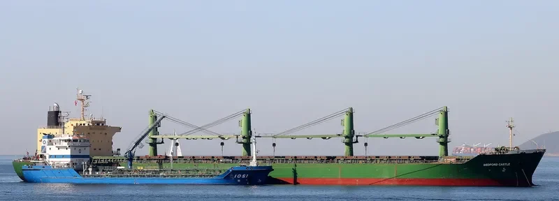 BEDFORD CASTLE Bulk Carrier IMO 9189926