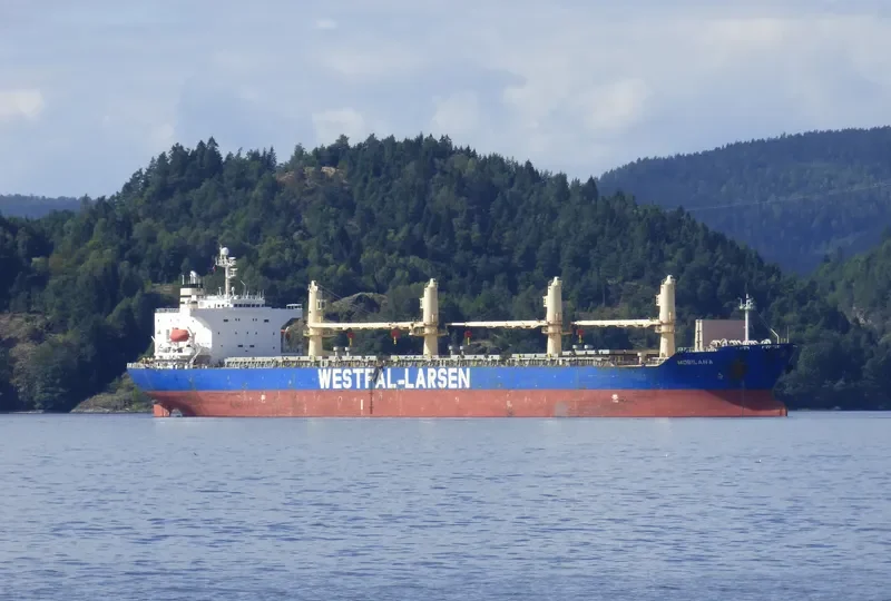STAR MAIA General Cargo IMO 9189940