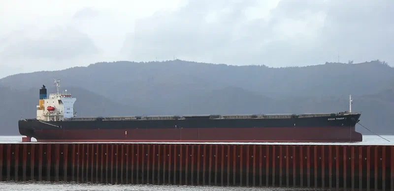 JESSIE Bulk Carrier IMO 9190004 photo 3
