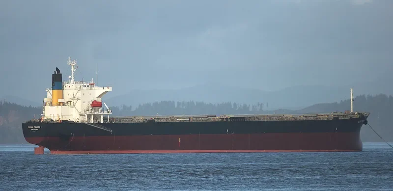 JESSIE Bulk Carrier IMO 9190004 photo 4