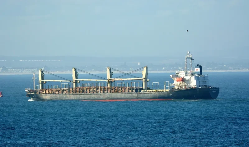 JESSIE Bulk Carrier IMO 9190004 photo 6
