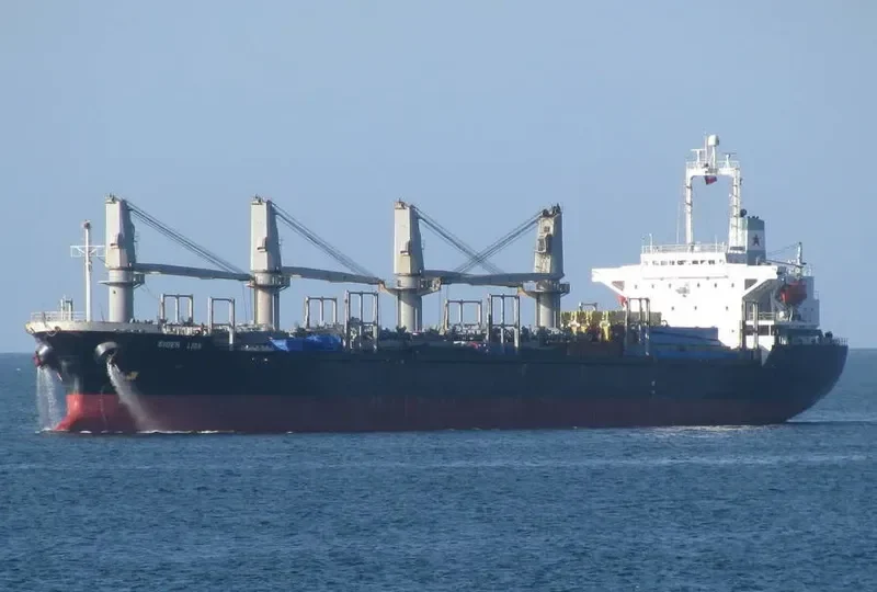 JESSIE Bulk Carrier IMO 9190004 photo 7