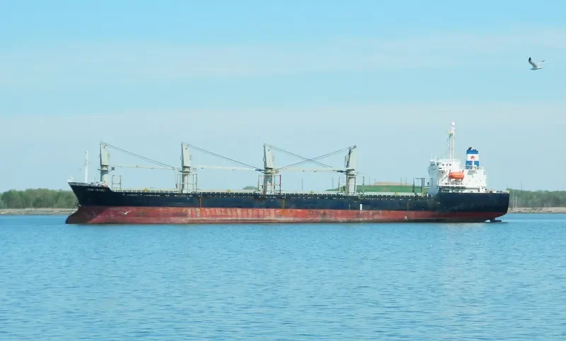 JESSIE Bulk Carrier IMO 9190004 photo 8