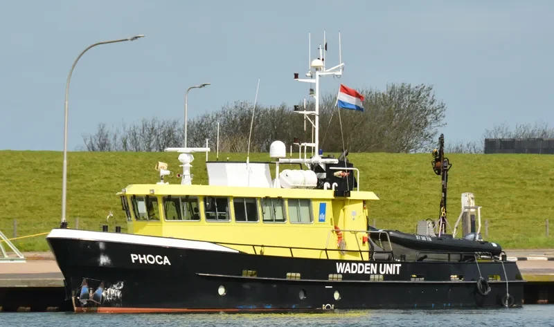 PHOCA Offshore Vessel IMO 9190250 photo 9