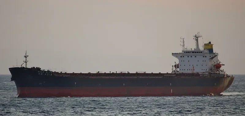 KG ASIA Bulk Carrier IMO 9190377 photo 4