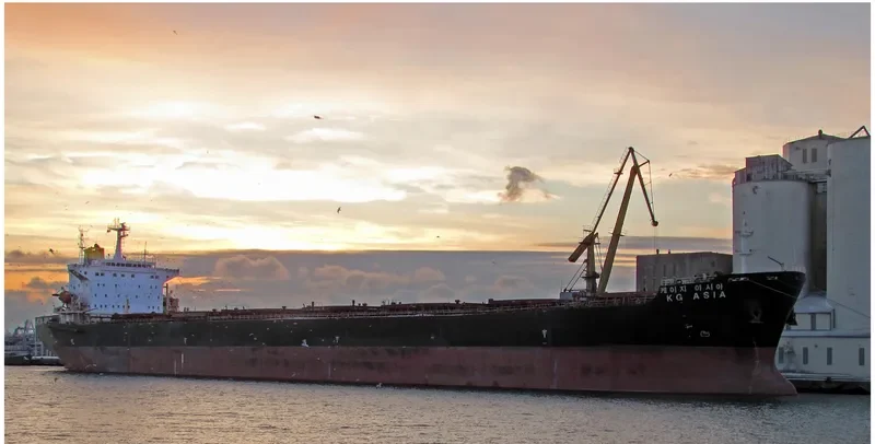 KG ASIA Bulk Carrier IMO 9190377 photo 5