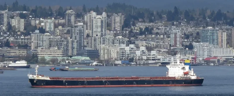 KG ASIA Bulk Carrier IMO 9190377 photo 6