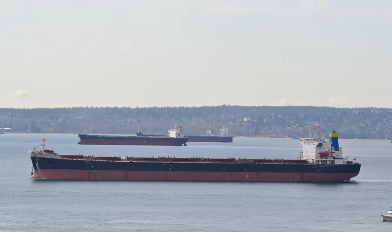 KG ASIA Bulk Carrier IMO 9190377 photo 9