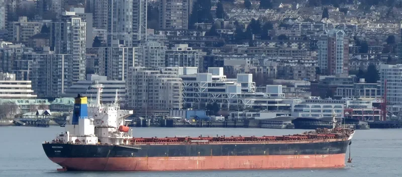 KG ASIA Bulk Carrier IMO 9190377 photo 10