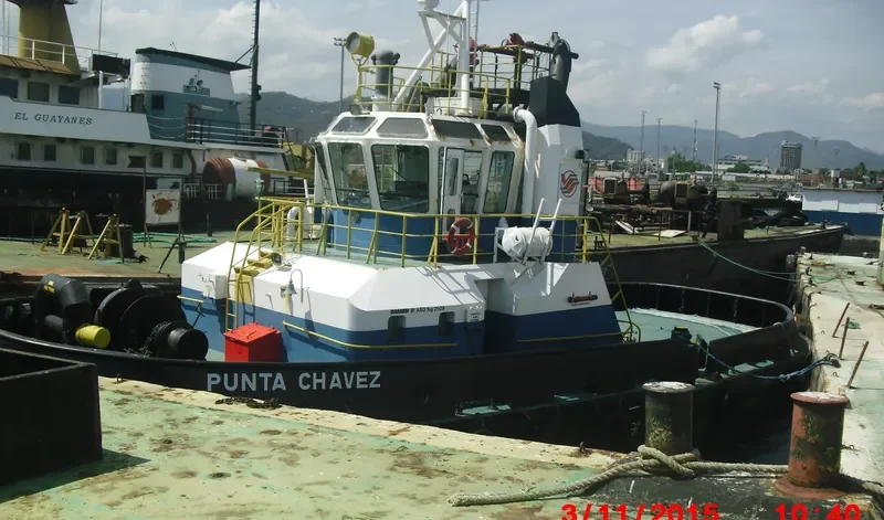 PUNTA CHAVEZ General Cargo IMO 9190523