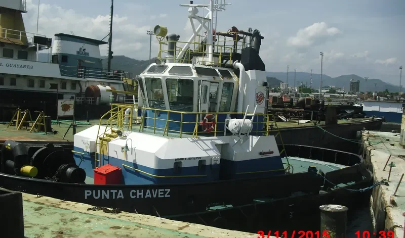 PUNTA CHAVEZ General Cargo IMO 9190523 photo 2