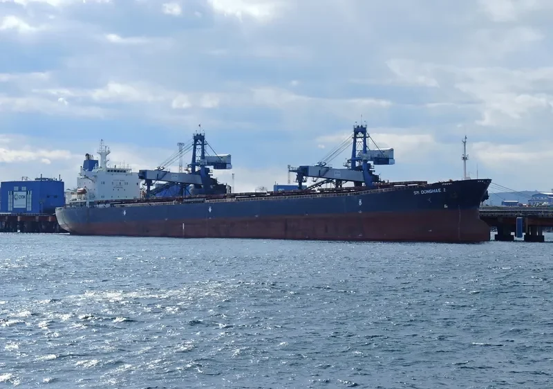 SM DONGHAE 2 Bulk Carrier IMO 9190640