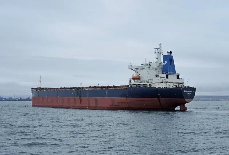 SM DONGHAE 2 Bulk Carrier IMO 9190640 photo 2