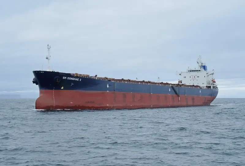 SM DONGHAE 2 Bulk Carrier IMO 9190640 photo 3