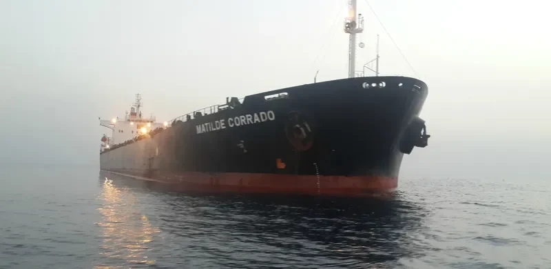 SM DONGHAE 2 Bulk Carrier IMO 9190640 photo 5