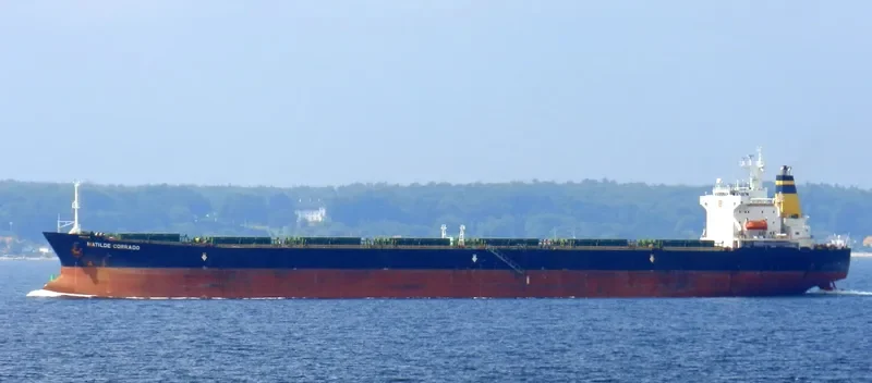 SM DONGHAE 2 Bulk Carrier IMO 9190640 photo 6