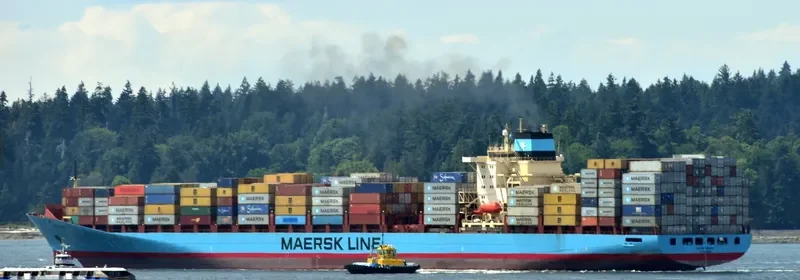 LAURA MAERSK Container Ship IMO 9190731 photo 3