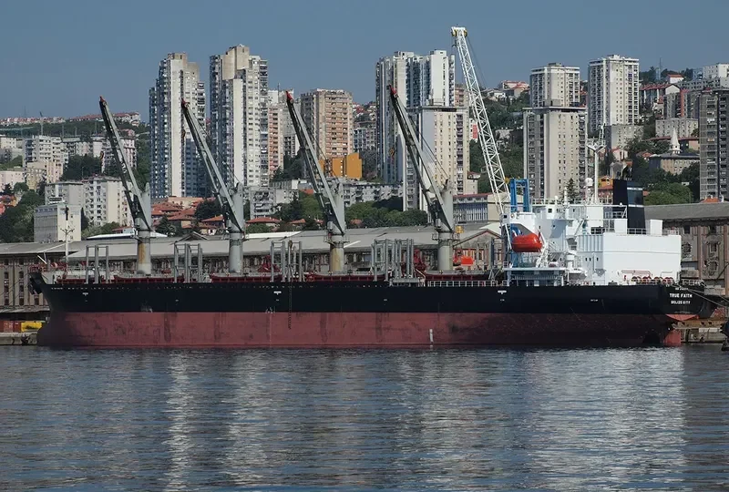 TRUE FAITH Bulk Carrier IMO 9191034 photo 2