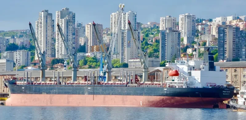 TRUE FAITH Bulk Carrier IMO 9191034 photo 3