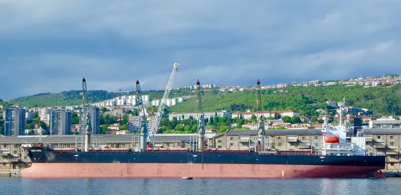 TRUE FAITH Bulk Carrier IMO 9191034 photo 4