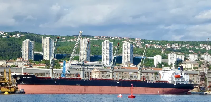 TRUE FAITH Bulk Carrier IMO 9191034 photo 5