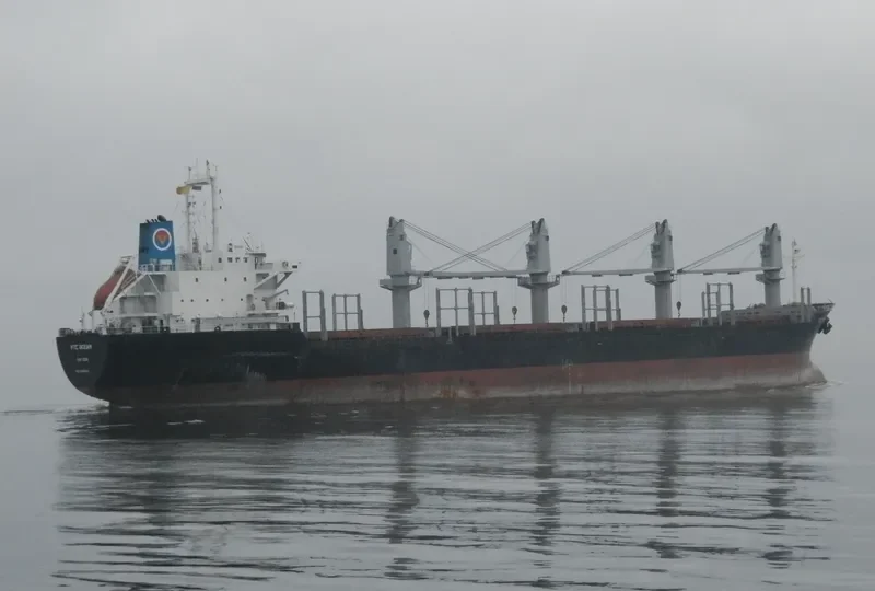 VTC OCEAN Bulk Carrier IMO 9191046 photo 2
