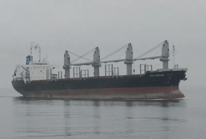 VTC OCEAN Bulk Carrier IMO 9191046 photo 3