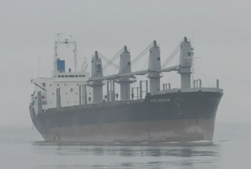 VTC OCEAN Bulk Carrier IMO 9191046 photo 5