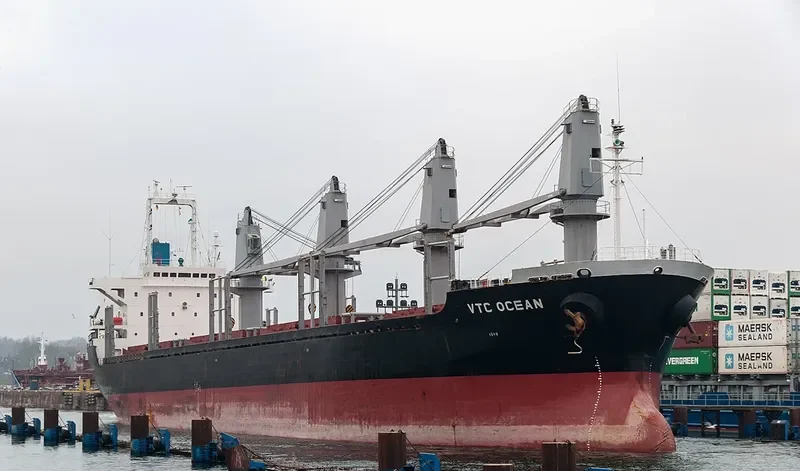 VTC OCEAN Bulk Carrier IMO 9191046 photo 7
