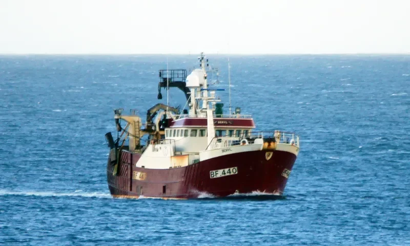 BERYL BF 440 General Cargo IMO 9191060 photo 2