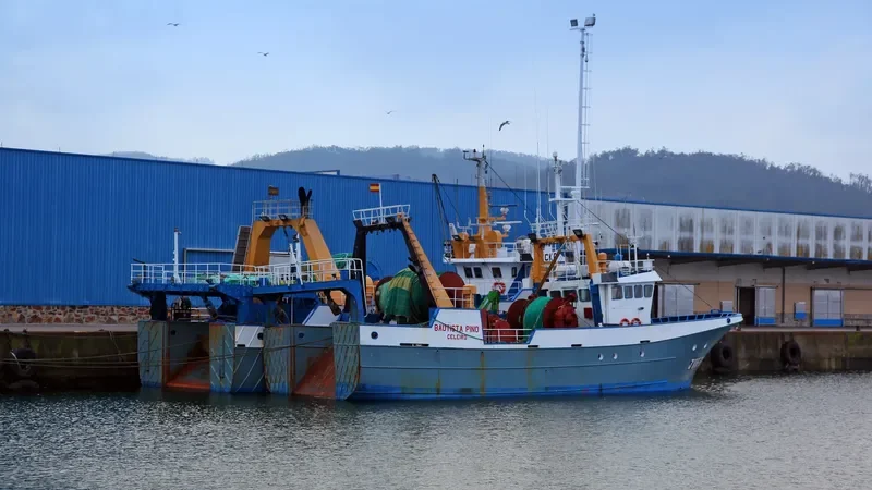 BAUTISTA PINO General Cargo IMO 9191151 photo 4