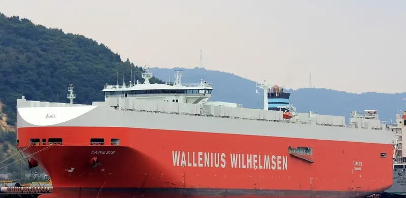 TAMESIS General Cargo IMO 9191307 photo 3