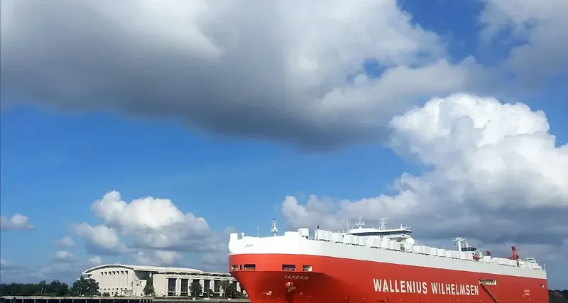 TAMESIS General Cargo IMO 9191307 photo 7