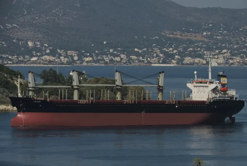 BSL CALYPSO Bulk Carrier IMO 9191448 photo 2