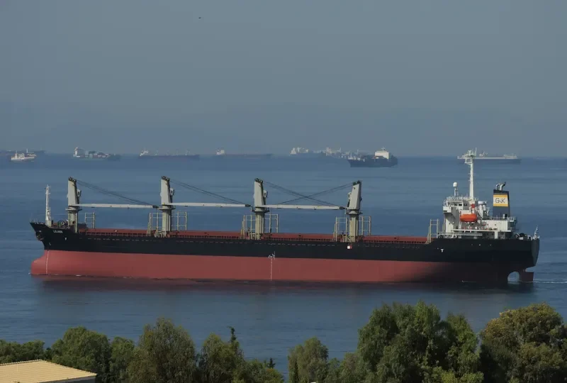 BSL CALYPSO Bulk Carrier IMO 9191448 photo 3