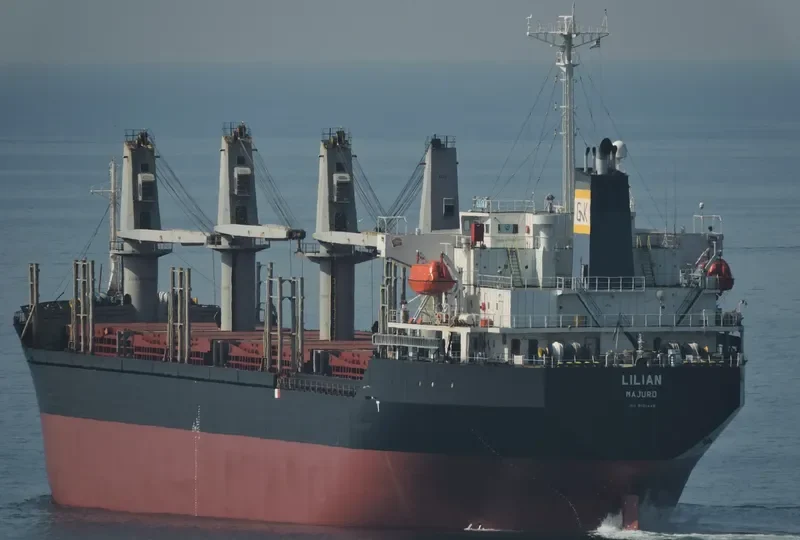 BSL CALYPSO Bulk Carrier IMO 9191448 photo 4